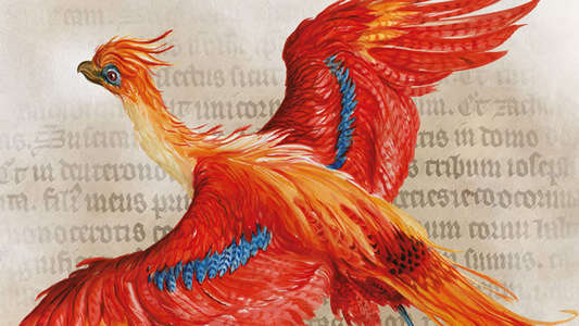 Harry Potter - A History Of Magic - Backdrop