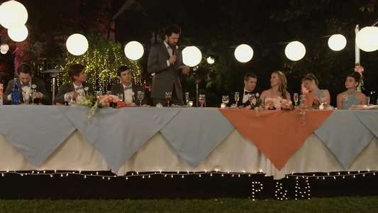 The Wedding Party - Backdrop