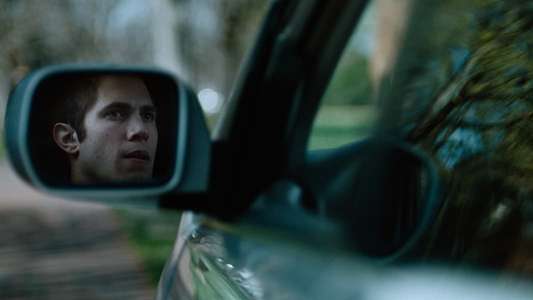 American Animals - Backdrop