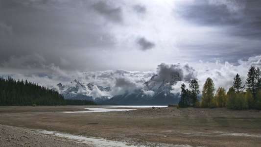 Population Zero - Backdrop
