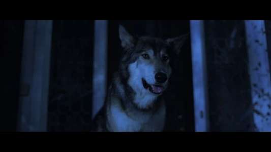 Lycan - Backdrop