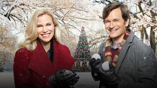 Christmas Connection - Backdrop
