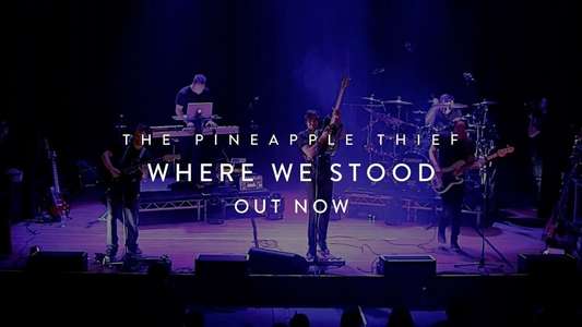 The Pineapple Thief - Where We Stood - Backdrop