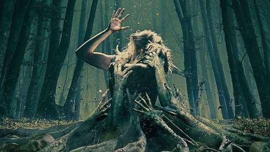 The Forest - Backdrop