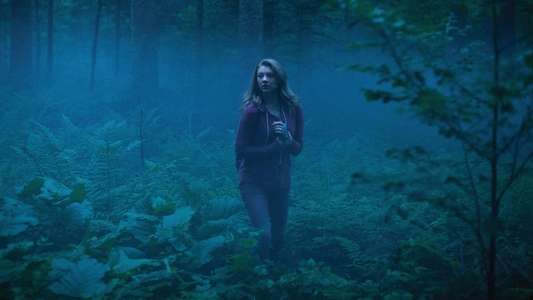 The Forest - Backdrop