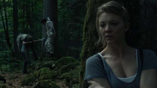 The Forest - Backdrop