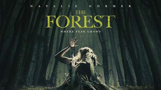 The Forest - Backdrop