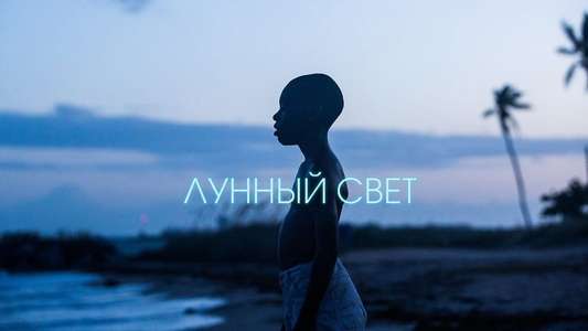 Moonlight - Backdrop