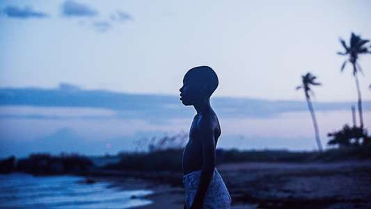 Moonlight - Backdrop