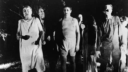 Night of the Living Dead - Backdrop