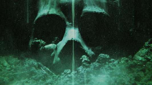 Transhuman - Backdrop
