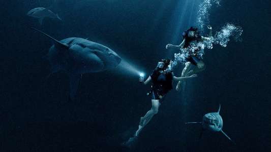 47 Meters Down - Backdrop