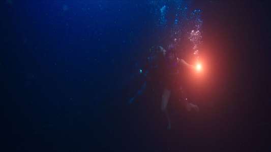 47 Meters Down - Backdrop