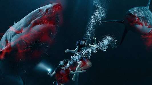 47 Meters Down - Backdrop