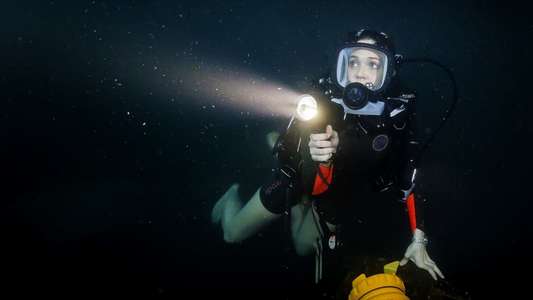 47 Meters Down - Backdrop