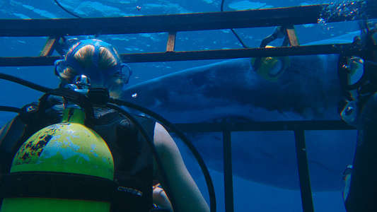 47 Meters Down - Backdrop