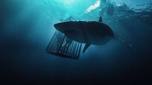 47 Meters Down - Backdrop