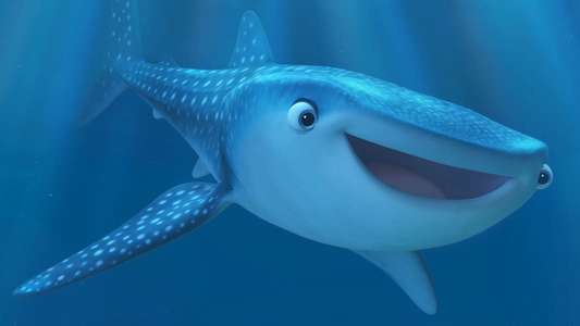 Marine Life Interviews - Backdrop