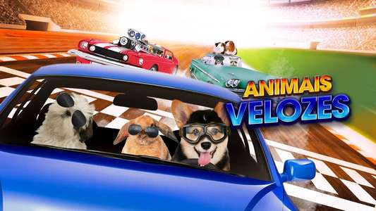 Fast and Furriest - Backdrop