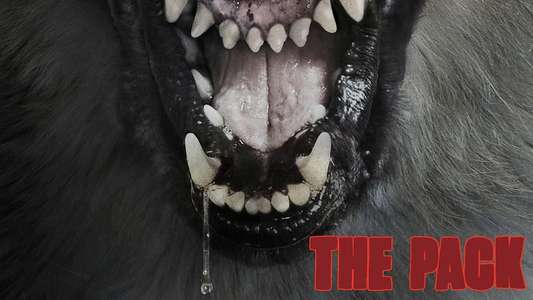 The Pack - Backdrop