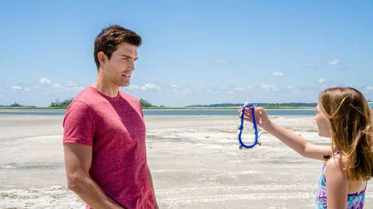 Love at the Shore - Backdrop