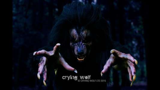 Crying Wolf - Backdrops