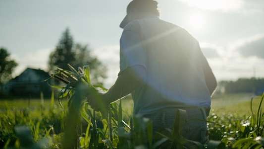 Wasted! The Story of Food Waste - Backdrop