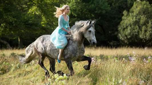 Cinderella - Backdrops