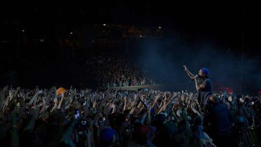 Pearl Jam: Let's Play Two - Backdrop