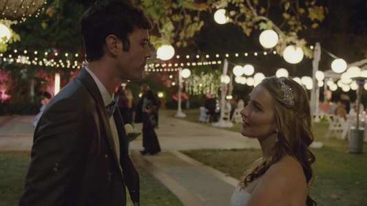 The Wedding Party - Backdrop