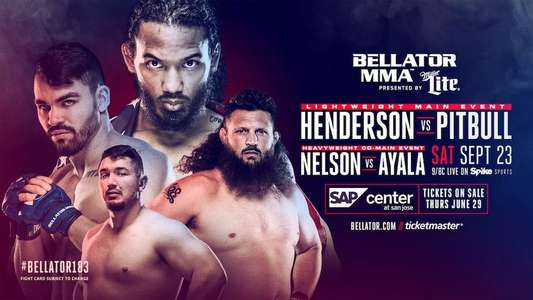 Bellator 183: Henderson vs. Pitbull - Backdrop