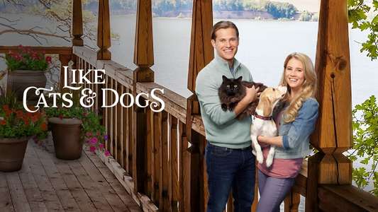 Like Cats & Dogs - Backdrop