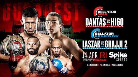 Bellator 177: Dantas vs Higo - Backdrop