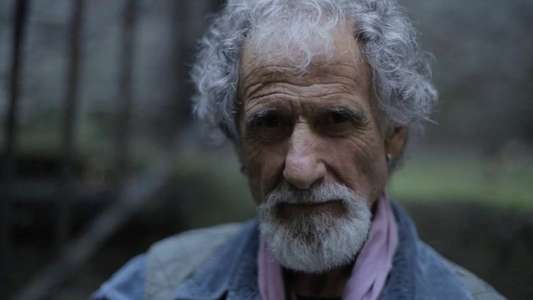 Frank Serpico - Backdrop