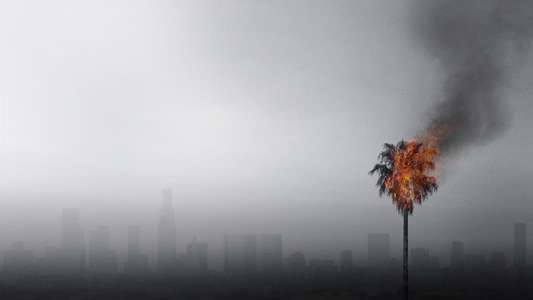 LA 92 - Backdrop