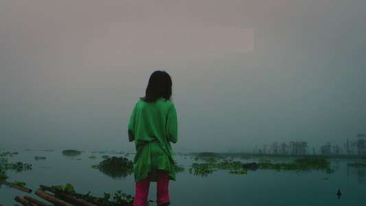 Crocodile - Backdrop