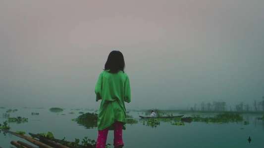 Crocodile - Backdrop
