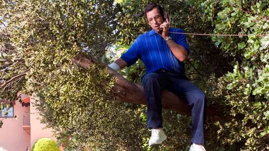 Sandy Wexler - Backdrop