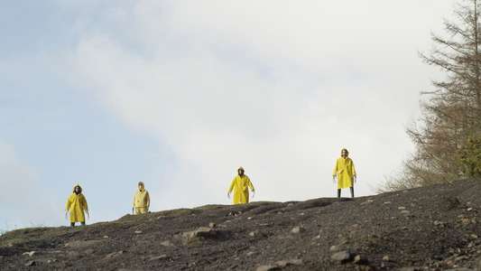 Canaries - Backdrop