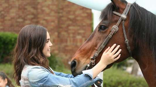 A Cowgirl's Story - Backdrop