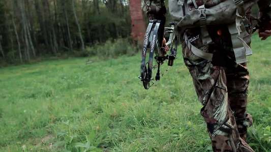 The Hunted - Backdrop