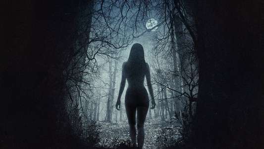 The Witch - Backdrop