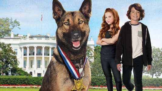 Max 2: White House Hero - Backdrop