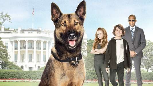 Max 2: White House Hero - Backdrop