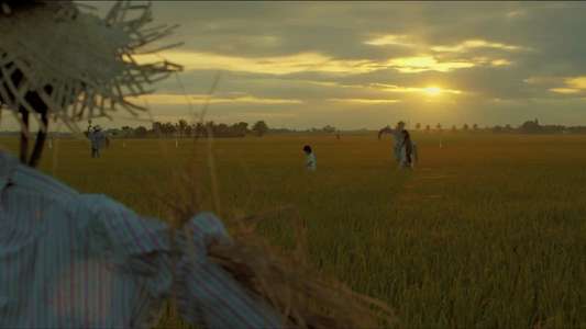 Scarecrow - Backdrop