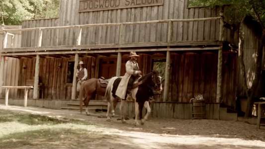 Western World - Backdrop