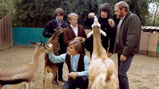The Beach Boys: Making Pet Sounds - Backdrop