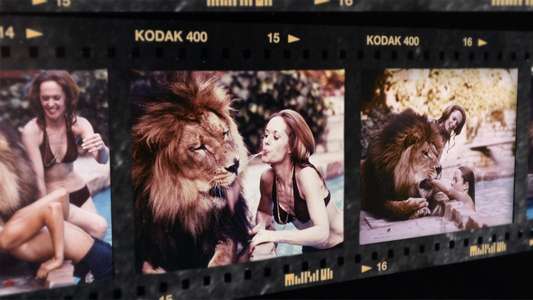 Roar : The most Dangerous Film Ever Made - Backdrop