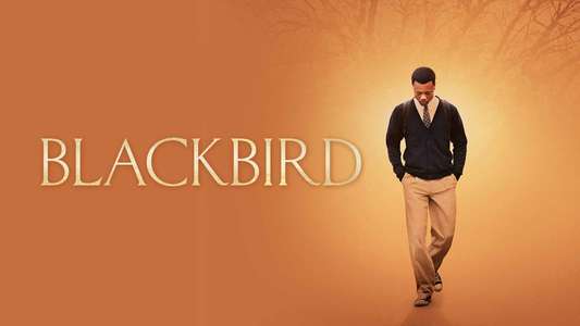 Blackbird - Backdrop