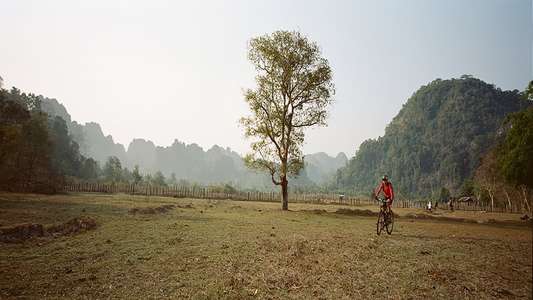 Blood Road - Backdrop